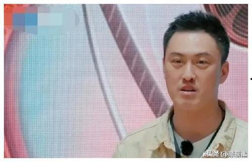 娱乐圈吃瓜视屏,幕后真相与明星隐私曝光